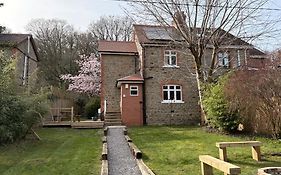Willow Cottage